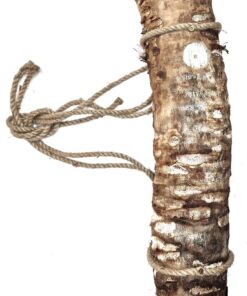 Elaine's Birding Sisal Wild Bird Nesting Log