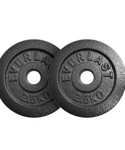 Everlast 2.5KG Cast Iron Weight Plate Set