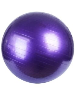 Exercise Ball / Yoga Ball - Purple