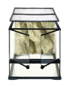 Exo-Terra - Natural Terrarium - Small Wide