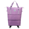 Expandable Travel Weekend---With 4 Wheels - Purple