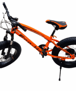 Fat Tire Mountain Bicycle 20 Inch 10 Speed - Orange
