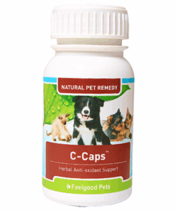 Feelgood Pets C-Caps Herbal Anti-oxidant Support - 60 Capsules