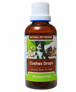 Feelgood Pets Dog & Cat Natural Adrenal Health Support Cushex Drops - 50ml