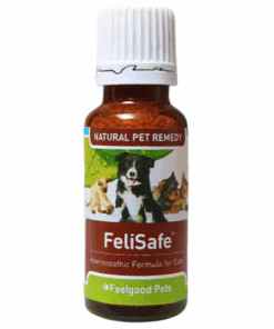 Feelgood Pets FeliSafe Natural Viral Infection Treatment In Cats - 20g