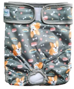 Female Dog Diaper - Bone