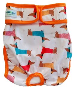 Female Dog Diaper - Dachshund