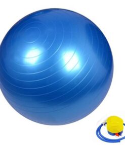Fitness Ball with Pump-Blue