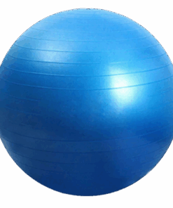 Fitness & Physical Training Exercise Balls - Blue