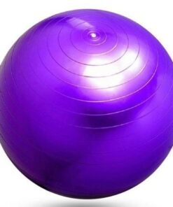Fitness & Physical Training Exercise Balls - Purple