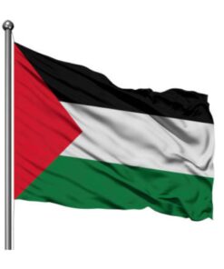 Flag - National - 900mm x 600mm - Palestine