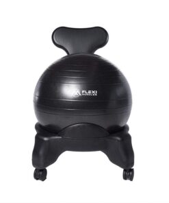 Flexi Muscles â Chair with balance ball for home and office