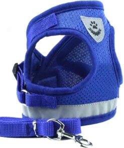 Focuspet Extra Small Adjustable Reflective Soft Padding Dog Vest Harness - Blue