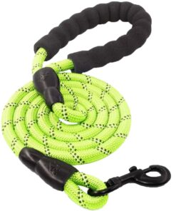 FocusPet Reflective Nylon Dog Traction Braided Rope Dog Leash - Green