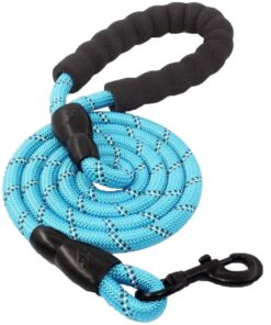 FocusPet Reflective Nylon Dog Traction Braided Rope Dog Leash - Light Blue