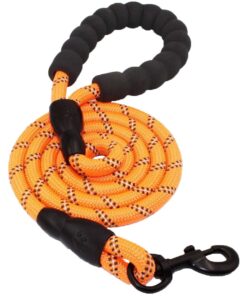 FocusPet Reflective Nylon Dog Traction Braided Rope Dog Leash - Orange