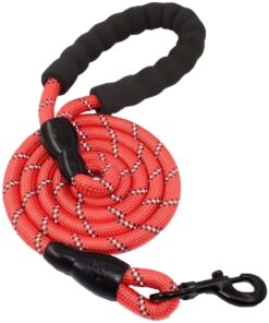 FocusPet Reflective Nylon Dog Traction Braided Rope Dog Leash - Red