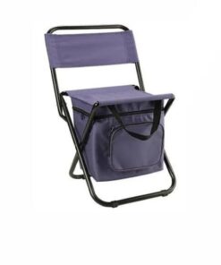 Folding Cooler Bag With Chair - Purple