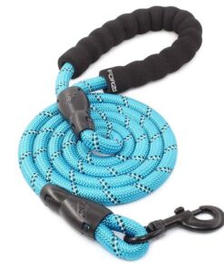 FORZA Running Hiking Walking Padded Dog Lead/Leash - Thick Rope - 1.2m Long - Blue