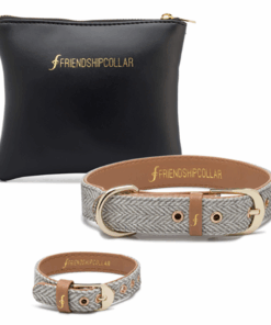 Friendship Collar Great British Canine - XL