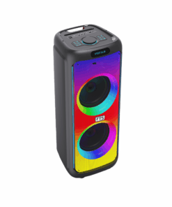 FTS 12" Double Portable Plastic Battery Speaker [FTS-TS12]