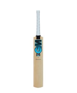 GM 101 Diamond Cricket Bat - Kashmir Willow