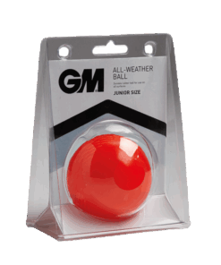 GM All Weather Ball - Orange