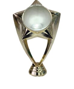 Gold Trophies - H422 (Pack of 5)