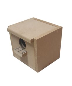 Goldwing Budgie Nest Box