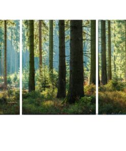 Green, Brown Forest Cotton Canvas cm Home Decor Wall Art