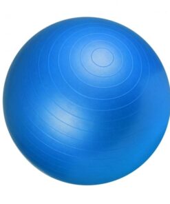 Gym Ball Fitness Ball 65cm Blue Gorilla Sports SA