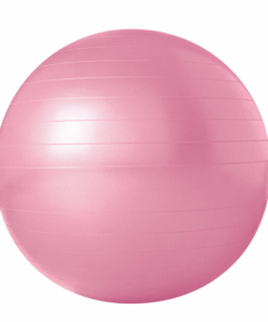 Gym Body Ball Anti-Burst Fitness Ball Trojan 55cm - Pink
