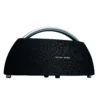 Harman Kardon Go & Play Black