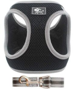 Harness Vest & Leash for Small to Medium Dog - Black & McDog (TM) Key Ring - XL