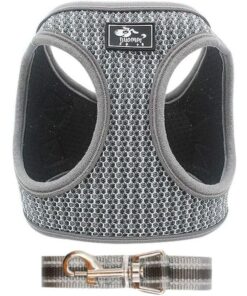 Harness Vest & Leash for Small to Medium Dog - Grey + McDog (TM) Key Ring - L