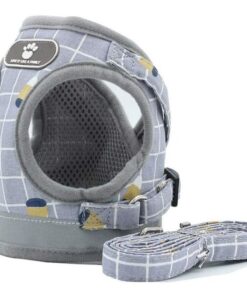 Harness Vest & Leash for Small to Medium Dog - Grey Nut & McDog Key Ring - XL