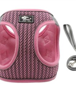 Harness Vest & Leash for Small to Medium Dog - Pink & McDog (TM) Key Ring - XL