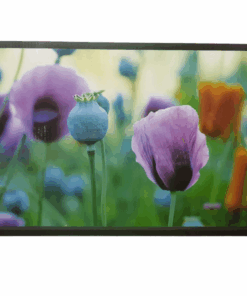 Harwa 32 Inch Led Tv