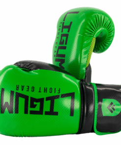 Hasta Boxing Gloves - Ligum Fight Gear - 6 oz