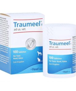 Heel Traumeel Tablets Pack 100