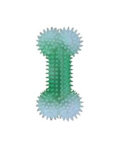 Hubbe Bone Chew Teeth Cleaner Toy - Green