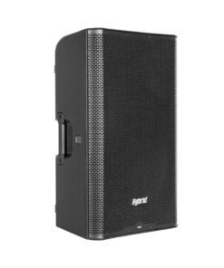 Hybrid PA12DSP Powerd 12" Speaker