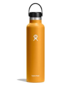 Hydro Flask Standard Mouth with Flex Cap 24oz/709ml - Fossil