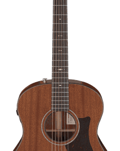 Ibanez AAM740E-LG Advanced Acoustic-Electric Guitar w/ Hardshell Case