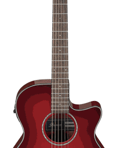 Ibanez AEG51-TRH Acoustic-Electric Guitar