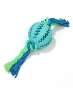 Indestructible Rubber Ball With Rope Non-Toxic 5cm Treat Chew Toy - Blue