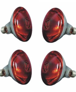 Infrared brooder Bulbs 200W 4 x Lamps