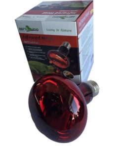 Infrared Heat Spot Lamp 100W