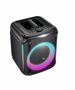 Ingoma 8'' Portable Battery Speaker (FTS-2108)