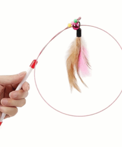 Interactive Cat Toy with Steel Wire with Feather